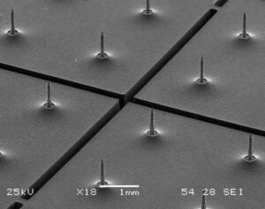 BioMEMS_web microneedles fabricated for life science applications using MEMS