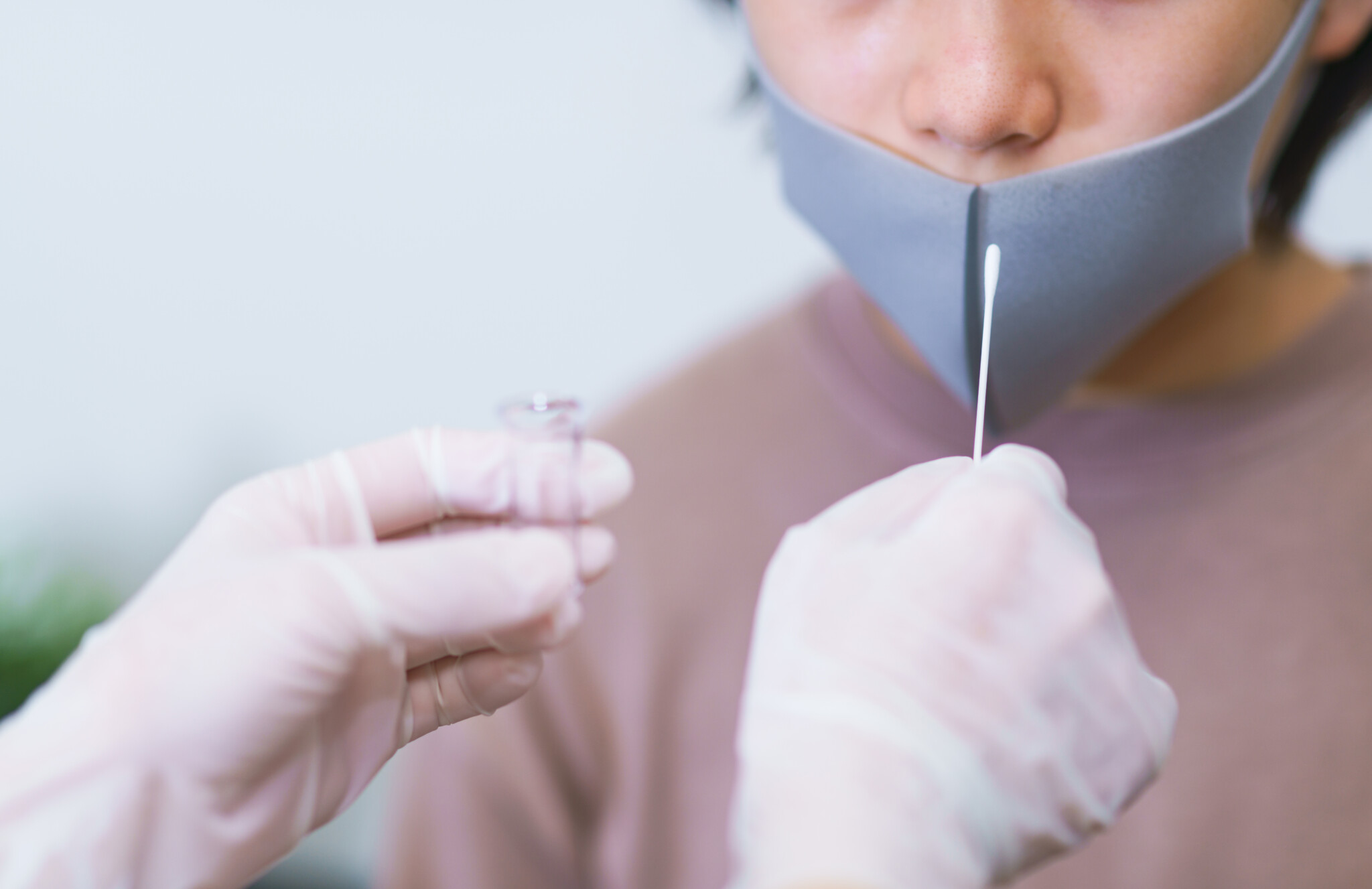 polymerase chain reaction testing for corona virus polymerase chain reaction testing for corona virus