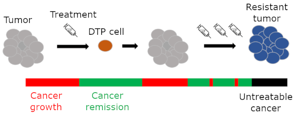 Cancer progression with DTP cells Development of drug-resistant tumors in the presence of DTP cells. Repeated treatment does not get rid of DTP cells, which allow the cancer to evolve to the point of being untreatable.