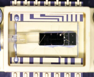 1310 nm laser A photo of the fully assembled and wire-bonded laser module in a 14-pin butterfly package.