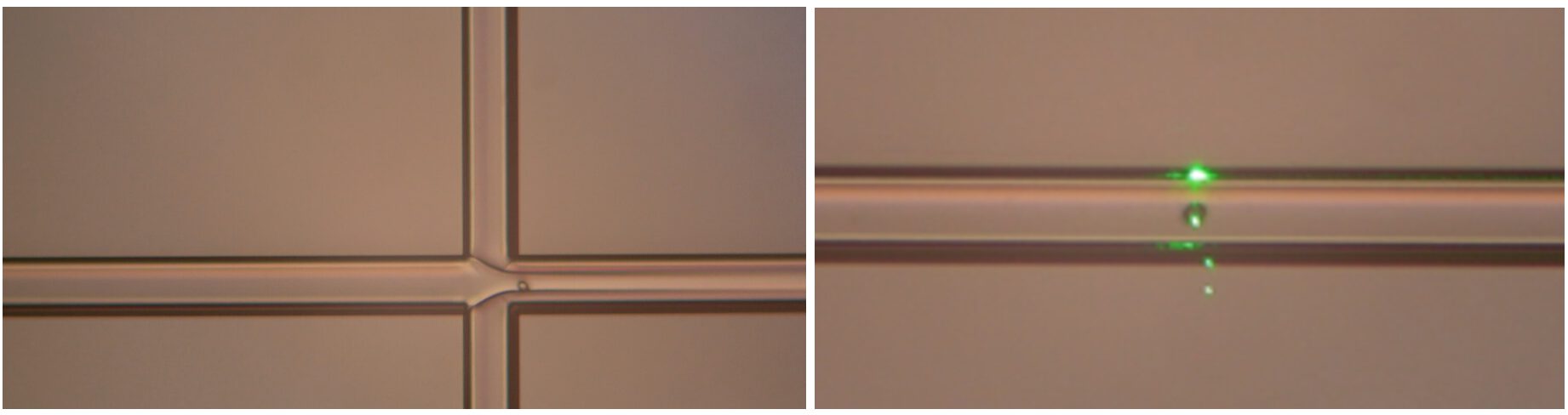 TriPleX optofluidic cytometer chip
